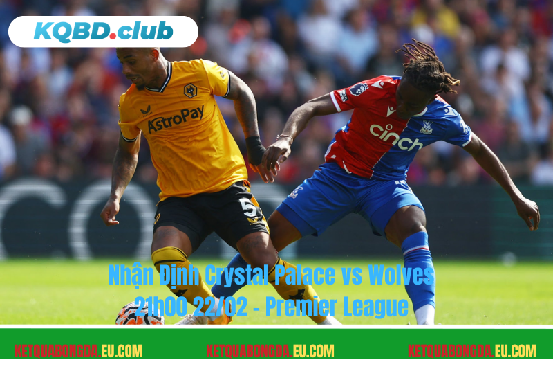 Đội hình dự kiến trước trận Crystal Palace vs Wolves Đội hình dự kiến trước trận Crystal Palace vs Wolves